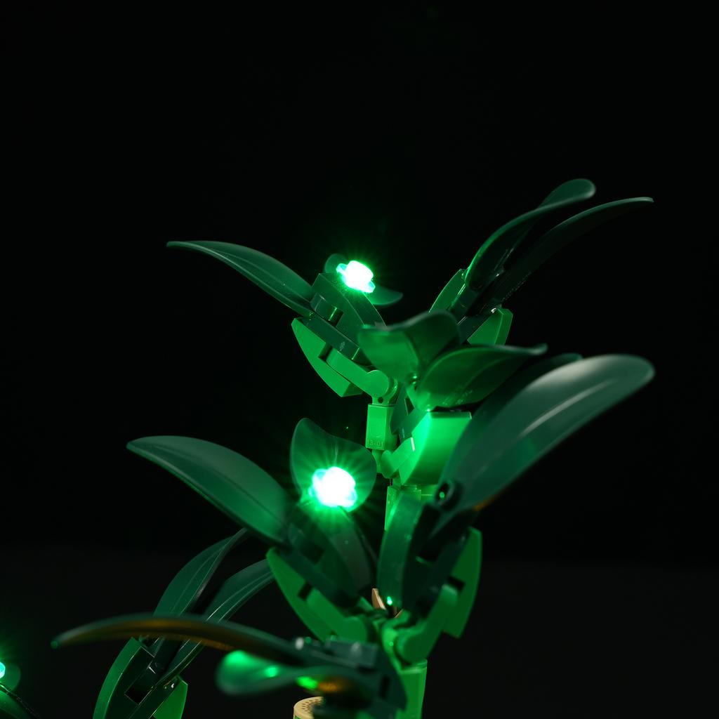 DIY LED Lighting Kit For LEGO The Botanical Collection 10344 Lucky Bamboo Building Block Toy Decoration Adjustable Lighting Accessories