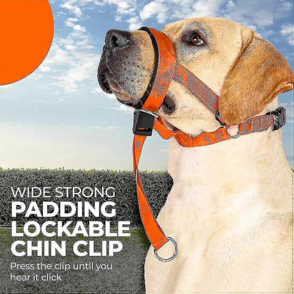 Dog Head Halter With Safety Strap, Dog Head Collar With Reflective Strap, No-pull Dog Collar Adjustable Dog Harness Training [NEW]