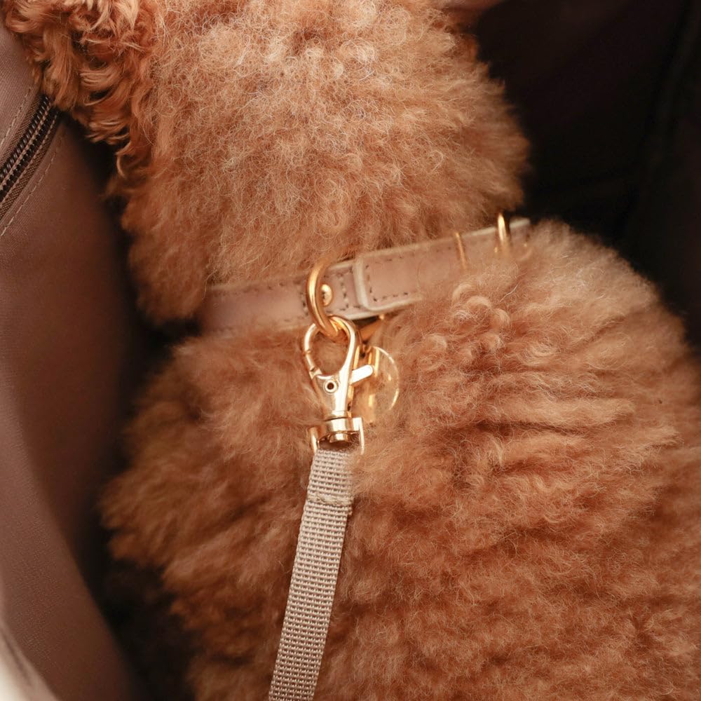 Piping Backpack Carrier for Small Dogs Lightweight Pet Carrier with Out Protection for Travel Monchéri (FREE/Beige) Anti-Jump