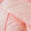 Manya Ju Feather Velvet All-Season Comfort Duvet
