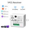 Tuya Smart Home WIFI Relay Module Switch Mini Light RF433MHz Wall Panel Switch Wireless Voice Control Timer Google Home Alexa