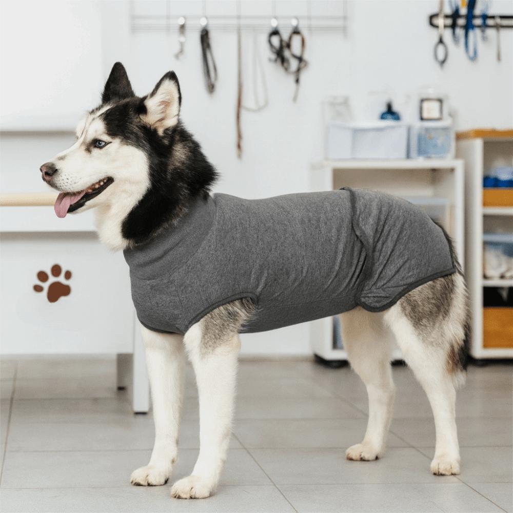 Breathable Dog Physiological Pants Washable Prevent Licking Clothes  for Small Medium Dogs