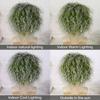 Peluca Verde Corta Rizada Sintética con Gorro Calvo, Cabello Rizado Ondulado Esponjoso para Disfraz, Peluca de Fiesta Cosplay Halloween, Fibra Estilo Anime de 6 Pulgadas