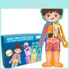 Wooden Body Structure Puzzle For Kids Educational Learning Toy For Boys And Girls