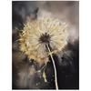 Goldene Pusteblume Goldene Pusteblume, 40X50 cm, Goldener Aluminiumrahmen, Mattes Papier 230 g/m²