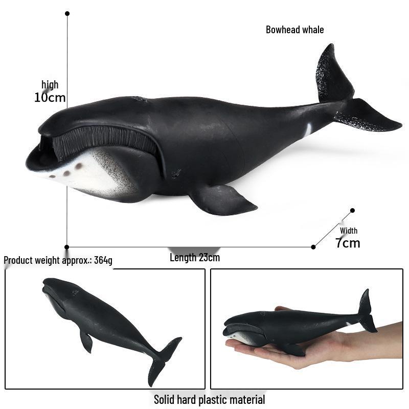 Marine Animal Simulation Toy: Bowhead, Killer, Sperm Whale & Shark Home Decoration Model