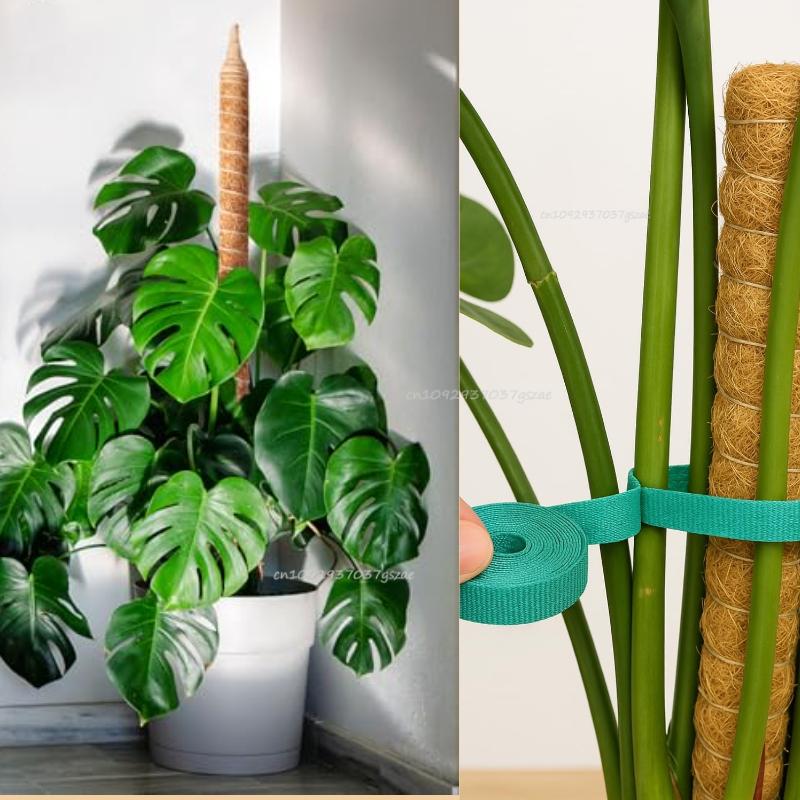 60-120CM Bendable Moss Pole for Plants Coconut Palm Fiber Monstera Plant Support Handmade Coco Climbing DIY Garden Accessories