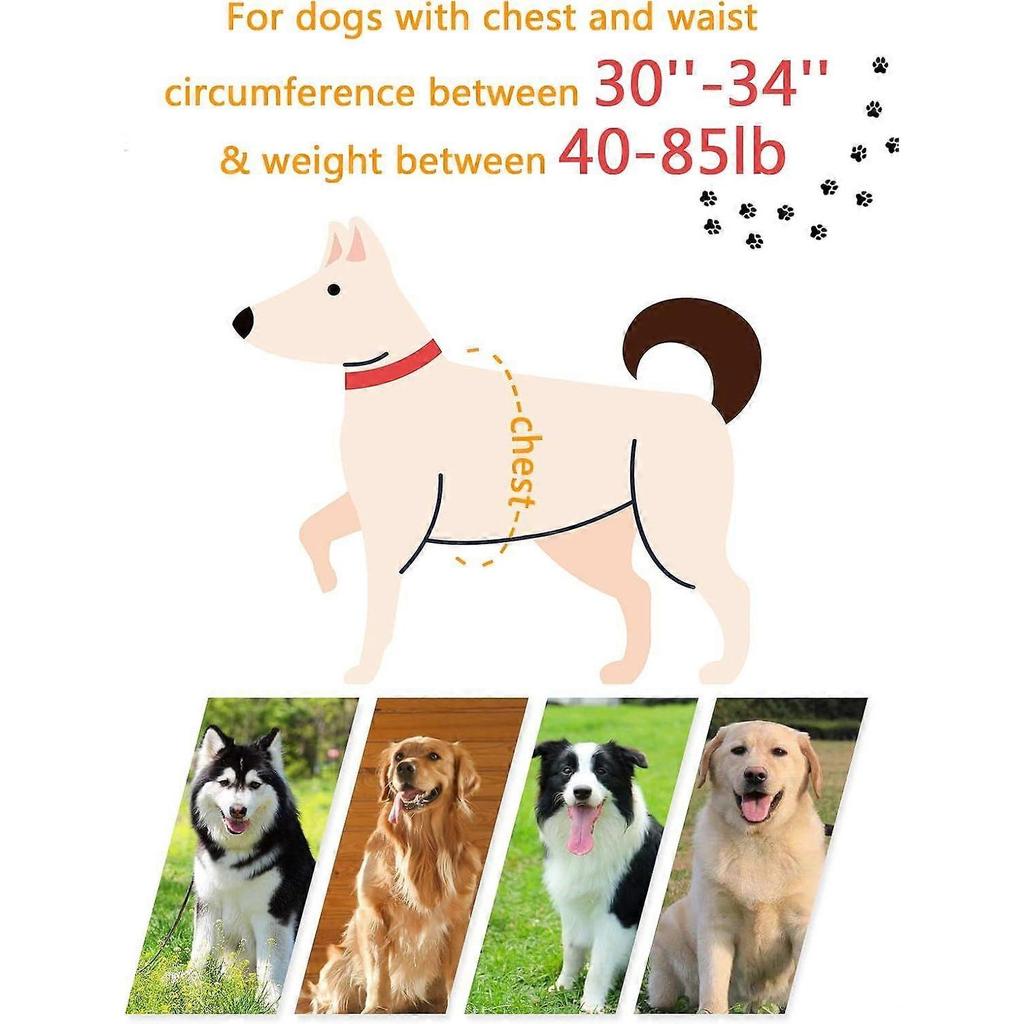 Dog Support Harness for Medium Large Dogs, Adjustable Emergency Dog Lift Harness with Handle, Full Body Support for Old Disabled Dogs Arthritis Up and