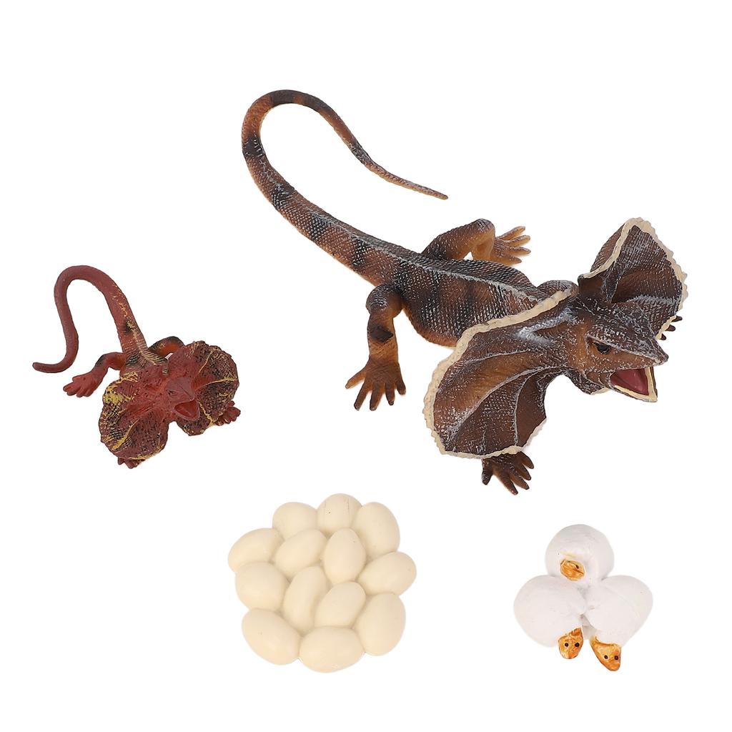 4 Stück Simulations-Tiermodell Simulations-Echsenwachstumsornament Kinder Kognitiver Wachstumszyklus