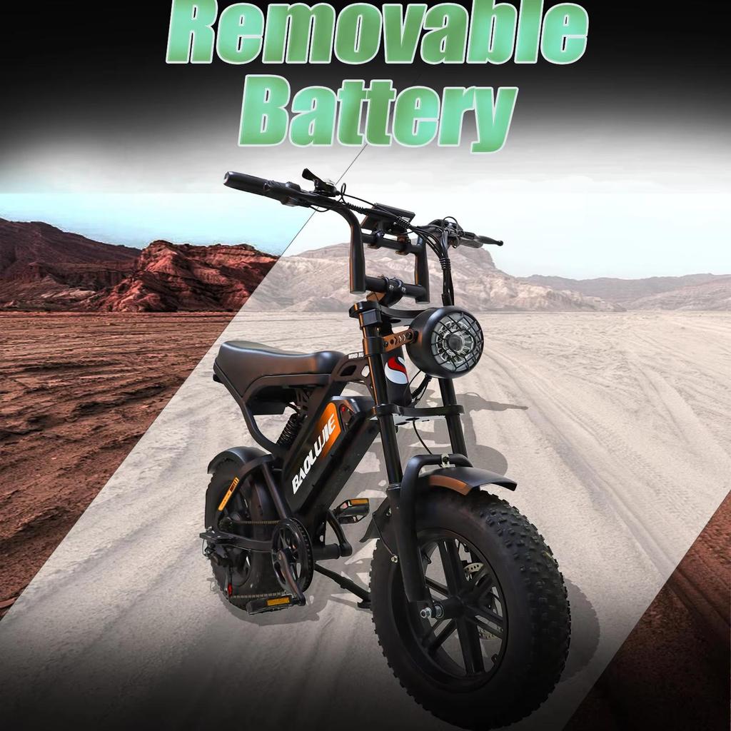 Electric bicycle F2 500W E-bike with 48V 13Ah battery, 16 inch tires, shoulder suspension, top speed of 45 kilometers per hour, mechanical disc brake
