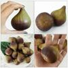 TOYMYTOY Set of Simulation Fig Fruit Lightweight and Compact Display Figurines for Home and Store Decor 5-Piece Models,