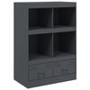 VidaXL Highboard Anthracite 67x39x95 Cm Steel, Cabinet, Storage Cabinet, Highboard, Sideboard, Cabinet 841801
