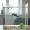 Resin Material Resin Floating Diver Simulation Diver Fishing Line Underwater Ornament Small Floating Ball