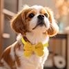 New Plush Bow Pet Collar Dog Decorative Bow Tie Adjustable Webbing Cat Neck Ring