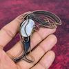 Rainbow Moonstone Pendant Fish Design Pendant Copper Wire Wrap Gemstone Jewelry