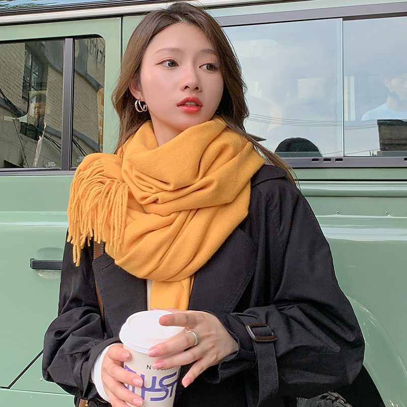 Herbst und Winter Neuer Damen-Kaschmirschal Einfarbiger Kaschmir-Imitat-Zugschal Dicker Kaschmir-Stickerei-Schal
