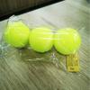 Durable High-Elastic Pet Tennis Ball Launcher with Ball