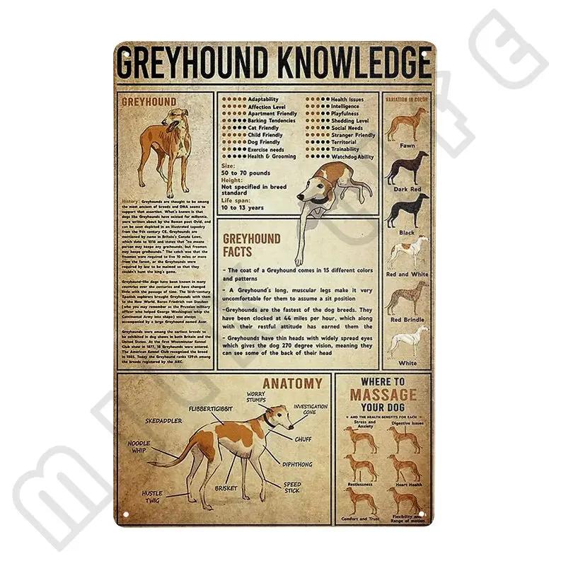 Windhund Metallschild Ich bin dein Freund Ich bin dein Windhund Poster Badezimmerzimmer Küche Garage Zuhause Kunst Wanddekoration