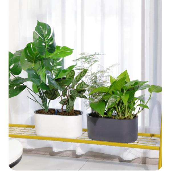 Self Watering Planter Simple Aloe Small Plants Planter Flowerpot Decor