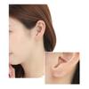 Diamond Lab Single Diamond Earrings for Women in 10K White Gold Box 0.12ct [Gift Set]