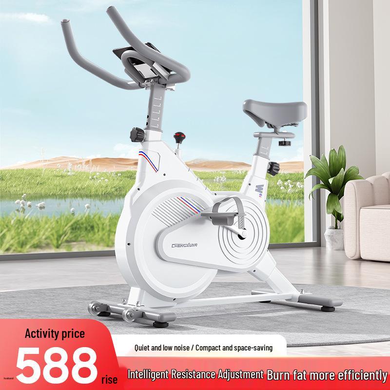 Silent Indoor Exercise Bike: Dynamic Home Fitness Equipment