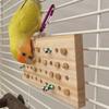 Madera Maciza Loro Colgante Masticable Pájaro Para Jaula de Búsqueda de Alimento Resistente a la Mordedura Juguete para Jugar Pájaro Loro Pájaro Mordiendo Mascota Juguete para Jugar