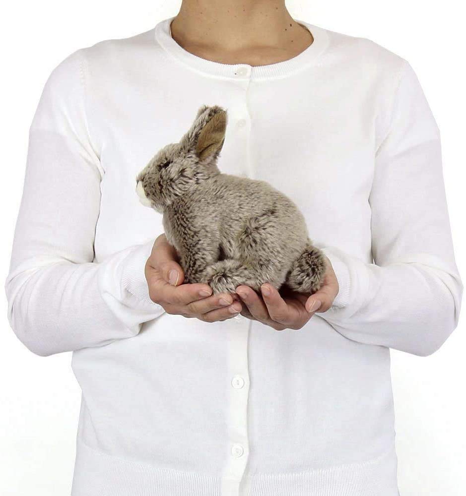 Carolata Japanese Rabbit Plush Toy (Real Animal BabySoft to the Touch) Real Rabbit Animal Baby Toy Doll Gift Present Birthday (Checked twice) 