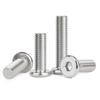 Stainless Steel Hex Socket Beveled Flat Head Screws