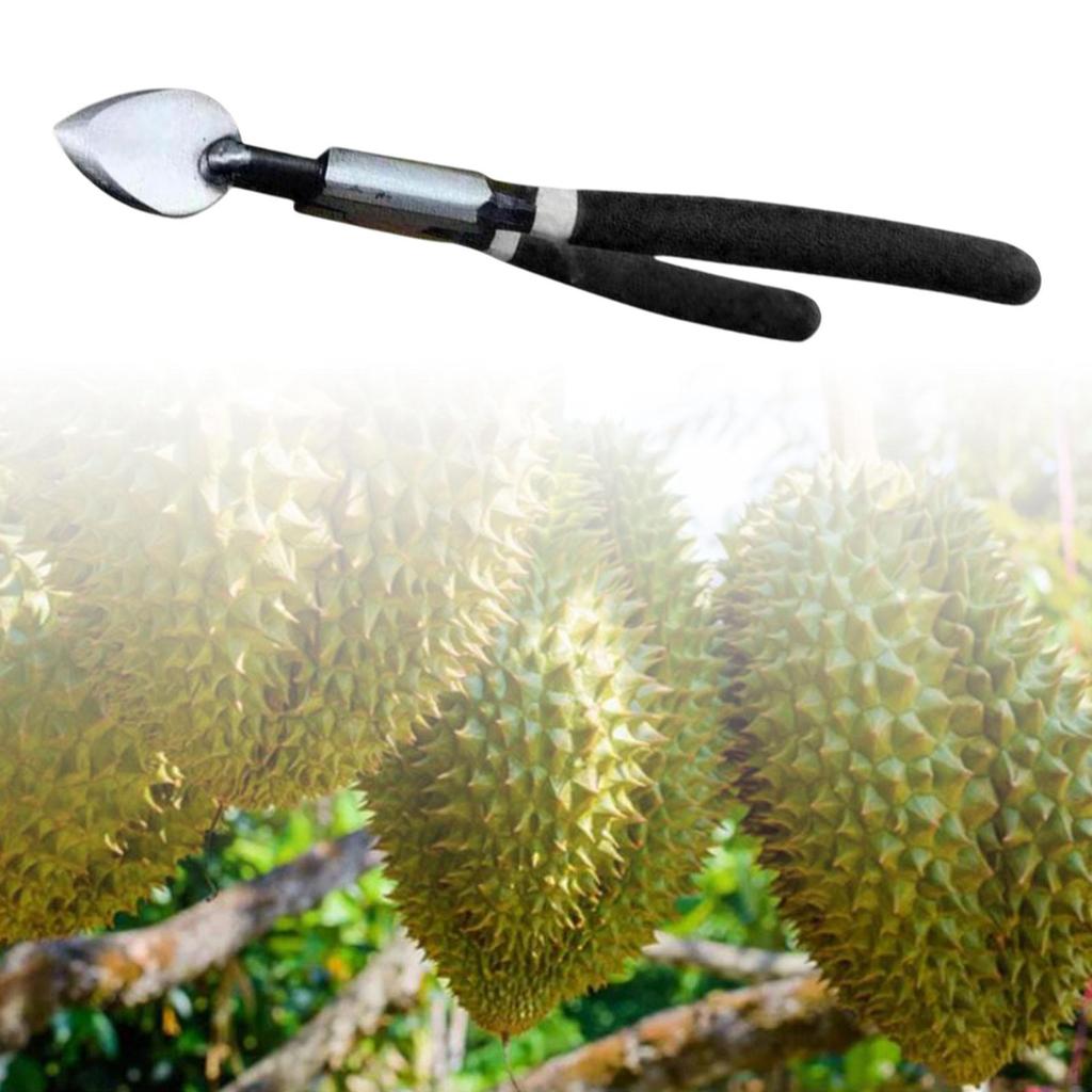 Durian Opener Peel Breaking Tool Manual Shelling Machine for Kitchen