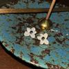 [925silver] Pop corn flower earring