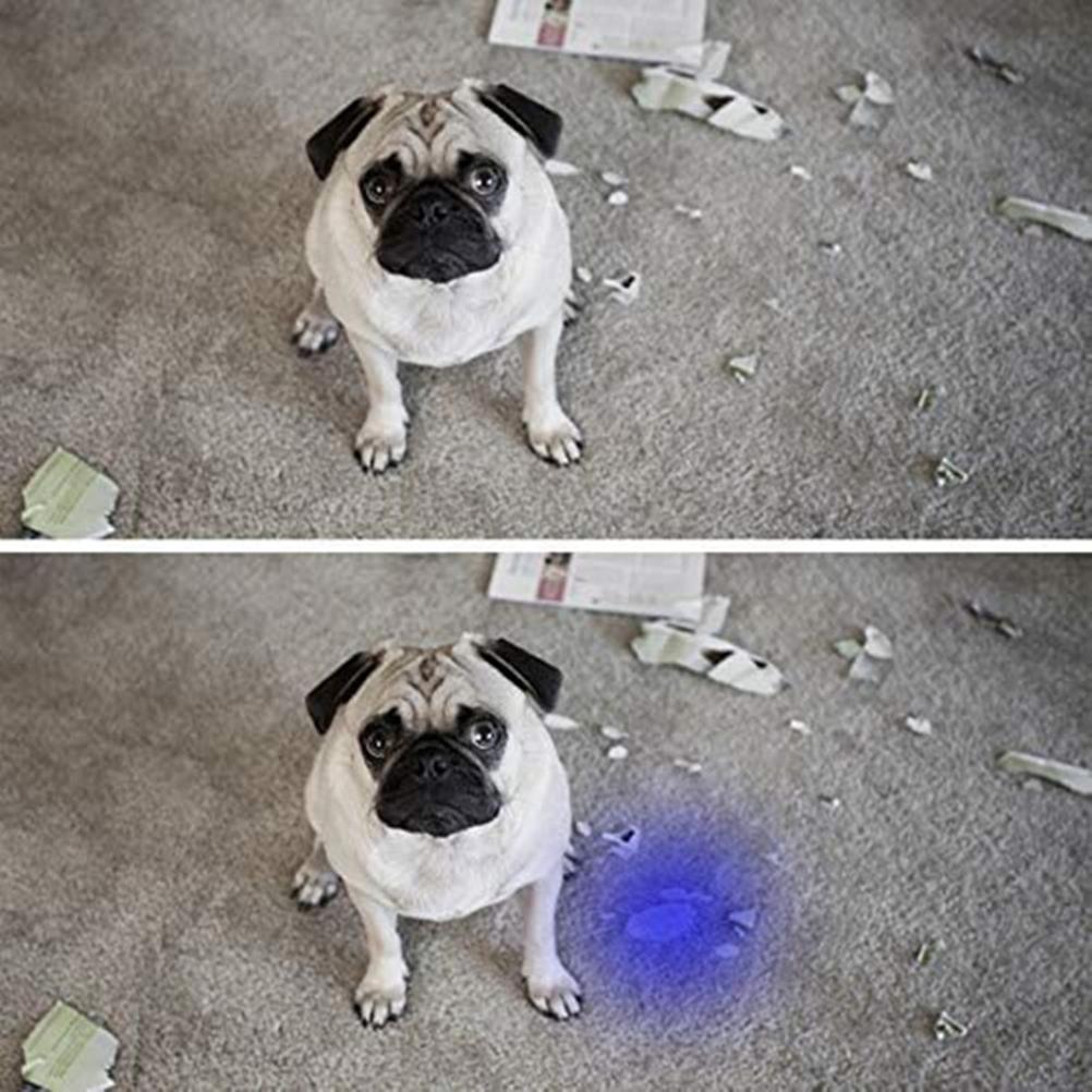 UV Flashlight Pets Blacklight Dogs Cats Urine Detector Ultraviolet Flashlight Dry Stains on Clothes