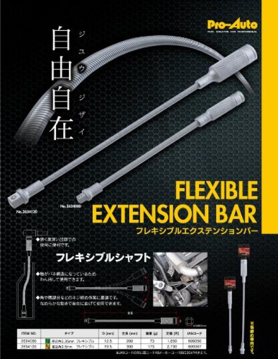 Flexible Extension Part Number 2624080 Pro-Auto 1/4" (6.35) Dr. Bar, 200mm,