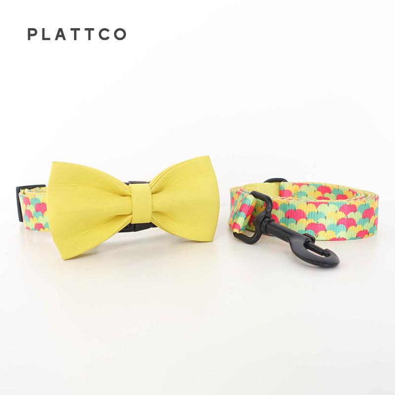PLATTCO Stylish Dog Collar & Leash Set - PDC326 L