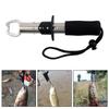 Portable Fishing Gripper Stainless Steel Fish Lip Grip Handle Catch Carp Fishing Lip Grip Fishing Tool Fishing