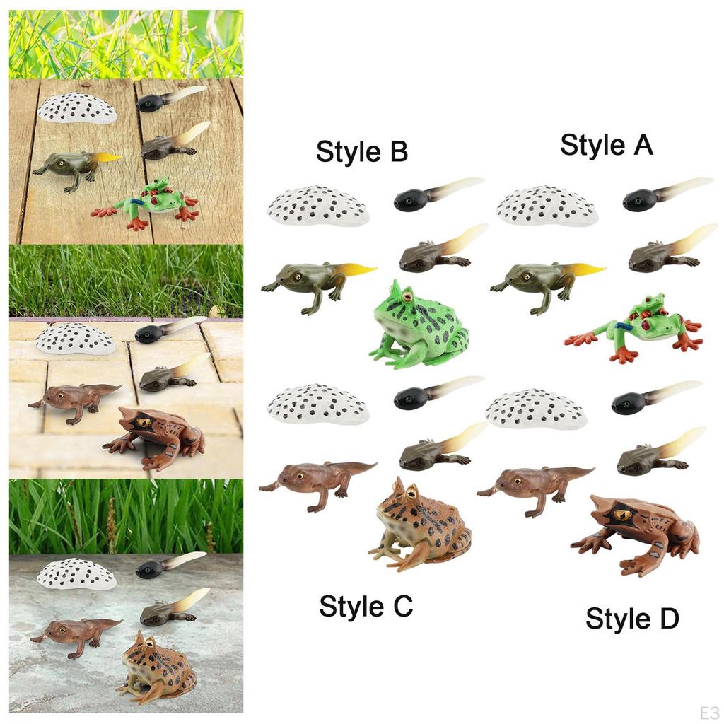 Life Cycle Animal Figures Toy Animals Cognitive Playset Science Frogs Model for