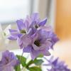 Beautiful Silk  Simulation Jasmine Real Touch Fake Flower  Office Desktop Decoration