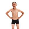 Speedo Boys Placement Lines Swim Shorts
