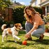 Interactive Dog Toy Electric Rolling Interactive Toy Dog Smart Play Balls For Kitten Cat Puppy Pet Indoor Outdoor Backyard Home