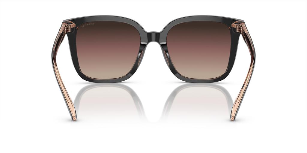 Coach HC8381F CL919 BLUSH 56 Women's Sunglasses, BLACK/TRANSPARENT