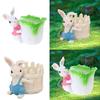 Cartoon Rabbit Plant Pots Decorative Flower Pots Resin Rabbit Planter Succulents