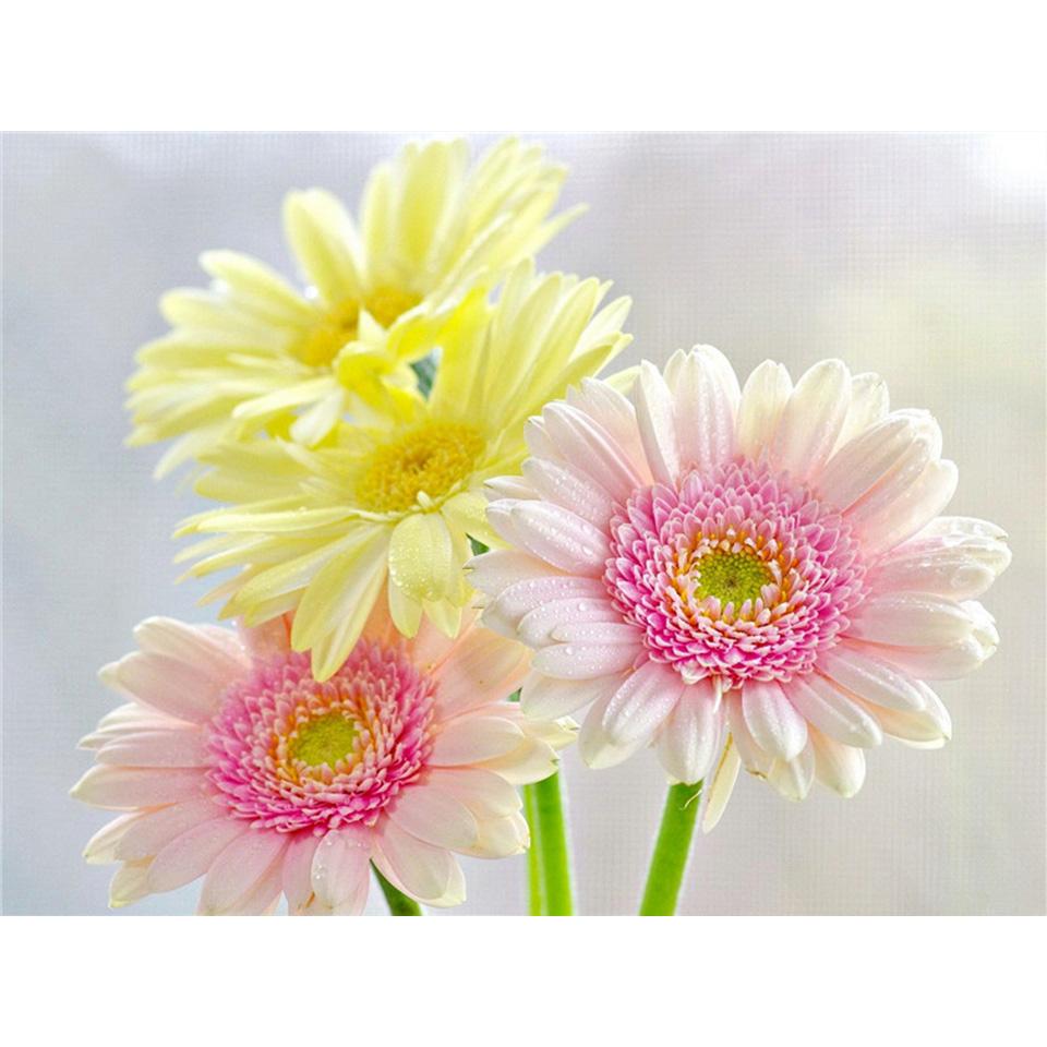 5D DIY Diamond Painting Flower Cross Stitch Kit Diamond Embroidery Rhinestone Picture Mosaic Home Decoration Hand-Mosaic Gift