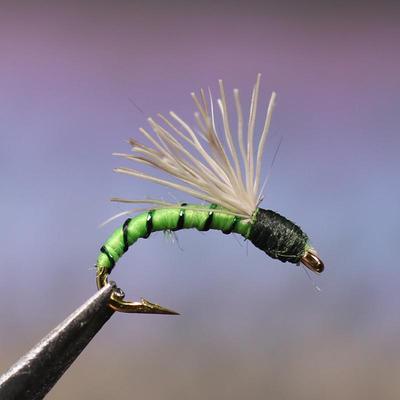 10PCS Chartreuse Biot Serendipity Fly Fishing Flies