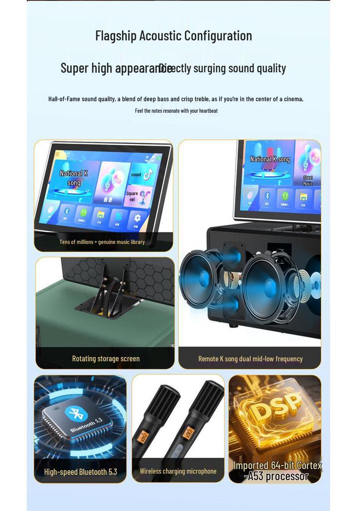 SS1-206 Portable Outdoor Karaoke Speaker: High-Power All-in-One Singing Machine
