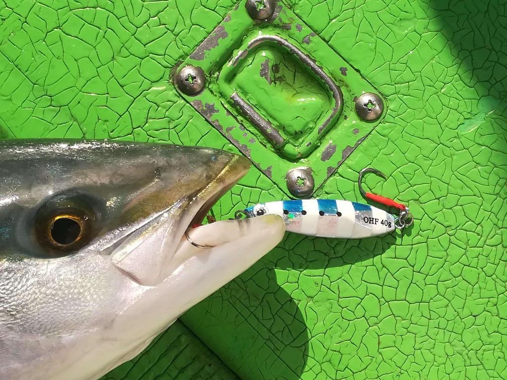 OHF Metal Jig Set with Assist Set for Slow Jigging (10g, 15g, 20g, 30g, 40g) Hooks, 10-Piece (40g/10-Piece Set)