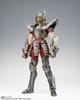 TAMASHII NATIONS Saint Cloth Myth EX Pegasus Seiya Seiya The 170mm Painted Movable Figure -Saint Beginning- Approx. PVC&ABS&Diecast
