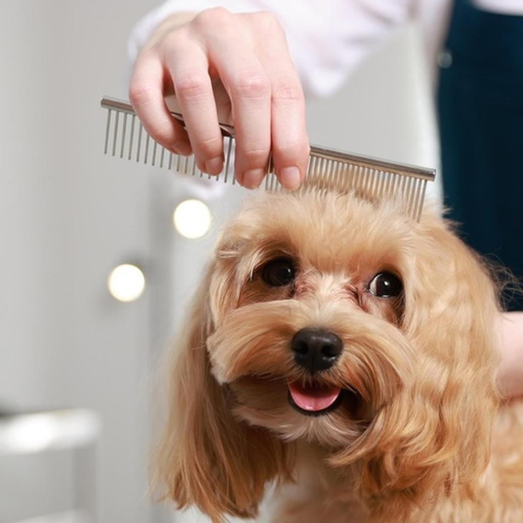 Pet Comb Dogs Hair Remover Pet Hair Removal Comb Anti Knot Removal Floating Hair Pets Grooming Cleaning Tool for Puppy Kitten