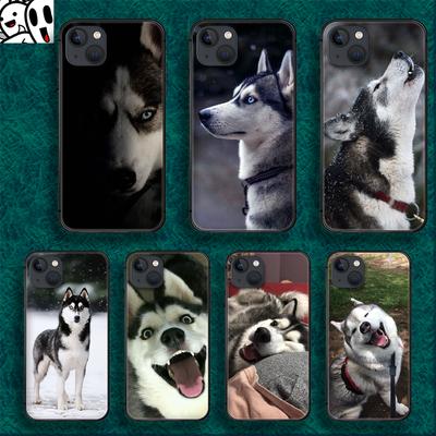Husky Dog Phone Case For iPhone Samsung Galaxy Redmi Xiaomi Oppo OnePlus Note S A 7 8 9 10 11 12 13 14 20 21 22 23 53 54 Pro Max Plus Ultra TPU Soft