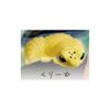 Authentic Yell  Shedding Leopard Gecko Reptile Pet Simulation Ornament Cute