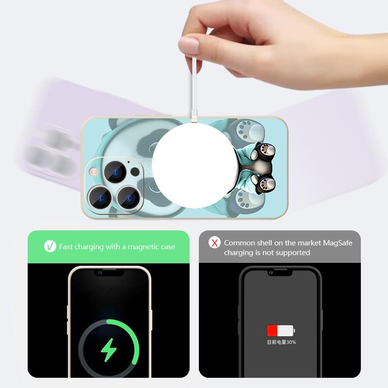 Blue Coat Panda Pattern Case For iPhone 17 Pro Max Magnetic For Magsafe Silicone Cover For iPhone 16 Pro Max Funda iPhone 15 14 13 12 11 16E Air