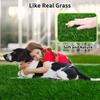 PICK FOR LIFE Dog Grass Pad X Inch Strong Absorbent Soft Real Grass Pet Potty Training Easy To Clean Artificial Grass for Dogs Indoor and Outdoor 39.4